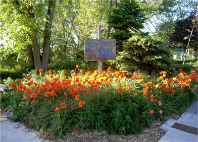 Willy Street Park in the Marquette Neighborhood