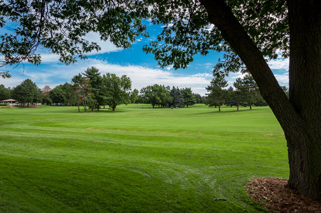Glenway Golf Course, Madison, WI