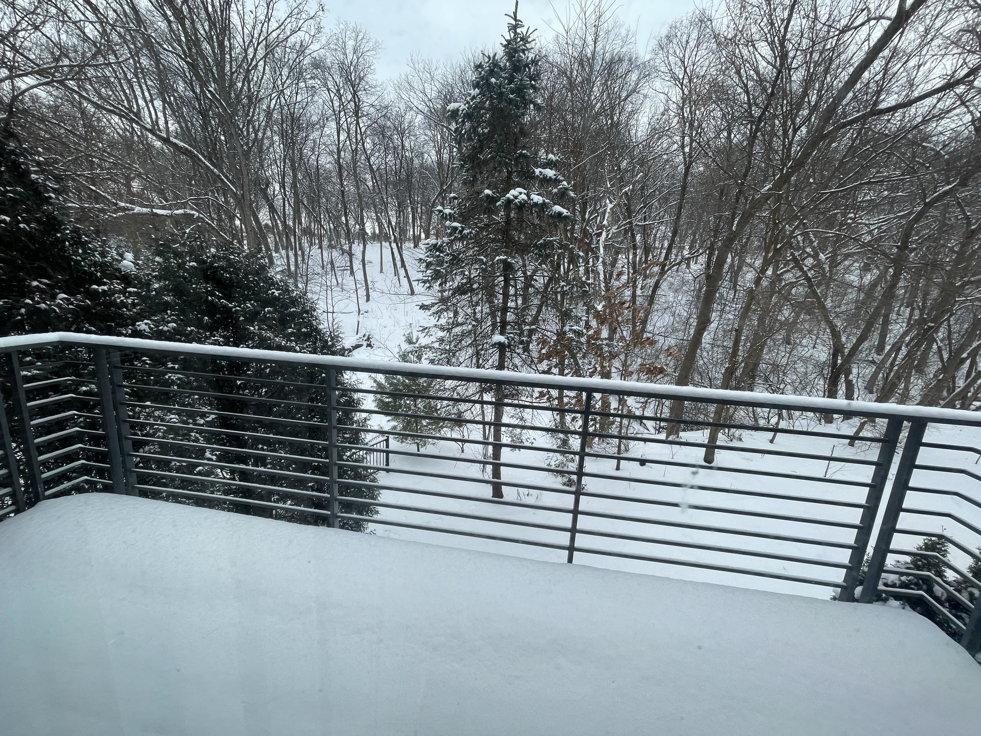 Condos with peaceful, wooded views in the Madison area