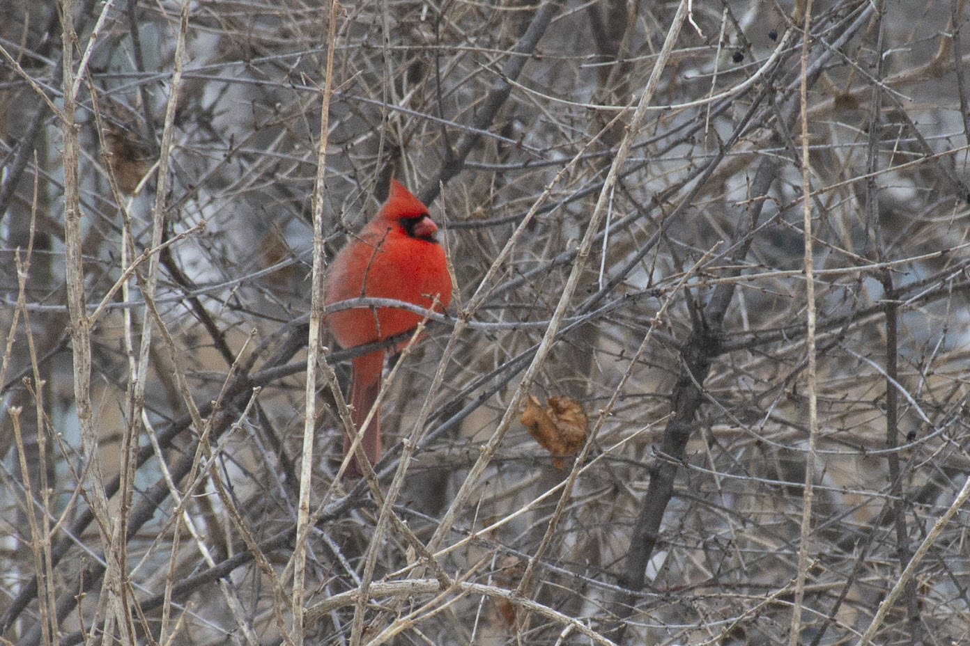 10 reasons why Madison area real estate prices will continue to rise (updated for 2026)