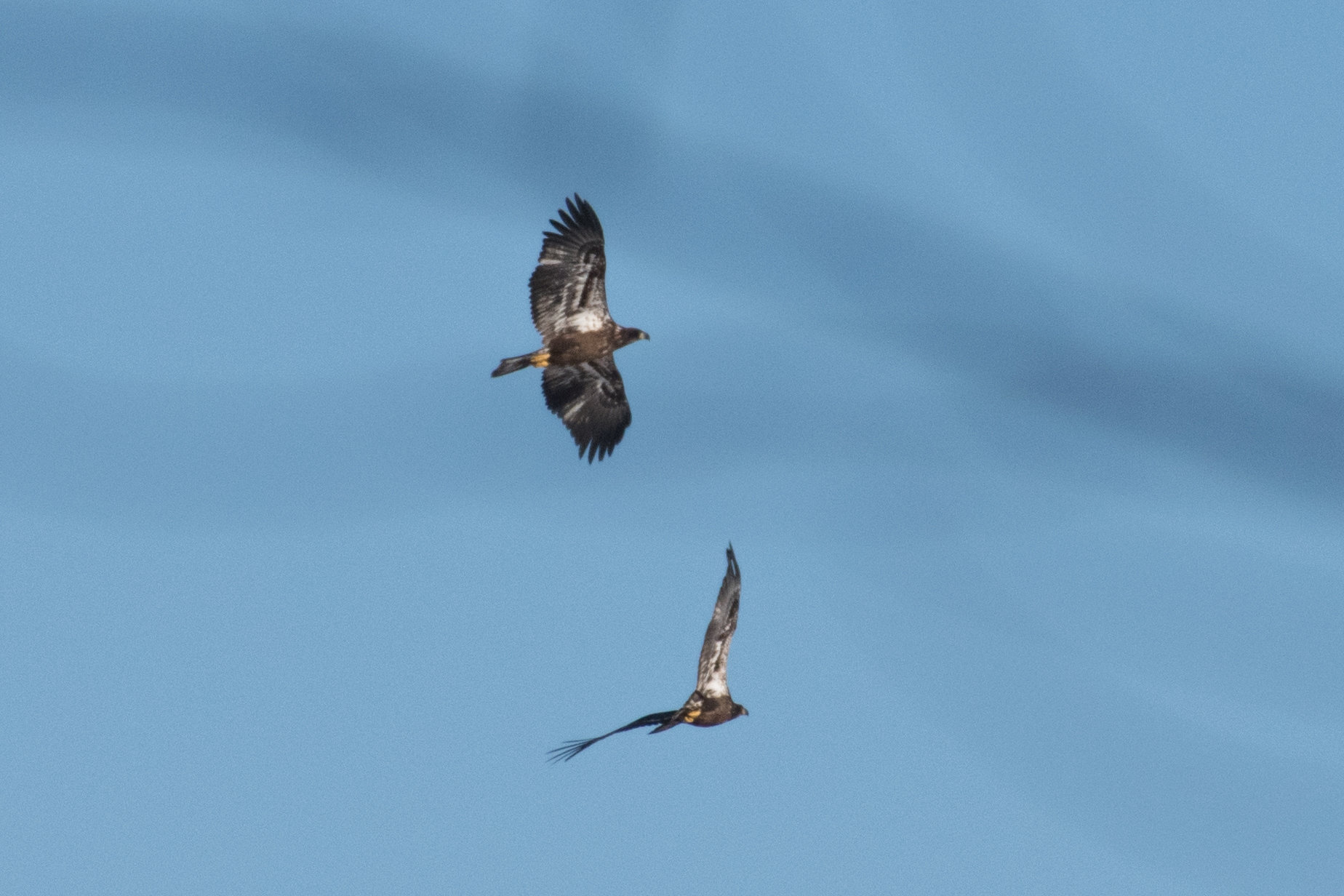 Small town charm near Madison